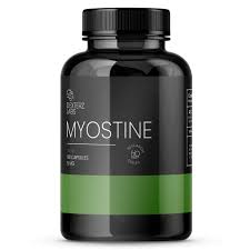 Myostatin (YK11) 5mg